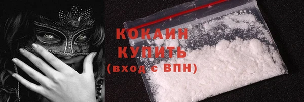 трава Новозыбков