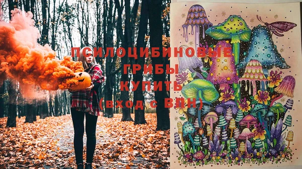 герыч Новодвинск