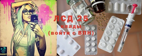 трава Новозыбков