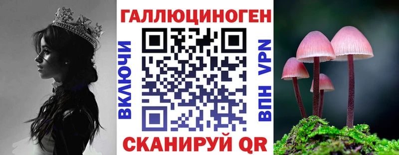 Псилоцибиновые грибы мицелий  Долгопрудный 