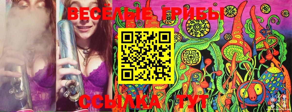 Галлюциногенные грибы Cubensis  купить  цена  Долгопрудный  Вход с VPN 