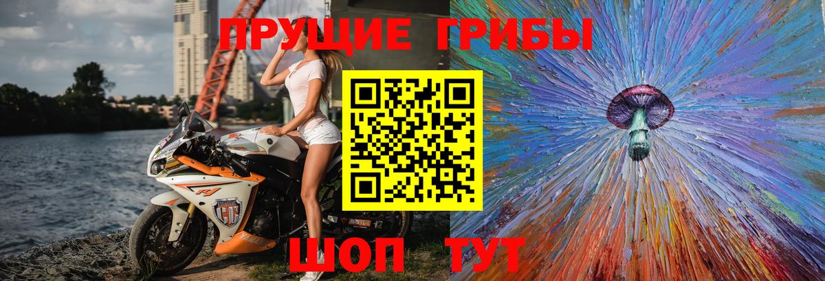 цена наркотик  Долгопрудный  Галлюциногенные грибы мицелий  Псилоцибиновые грибы MAGIC MUSHROOMS 