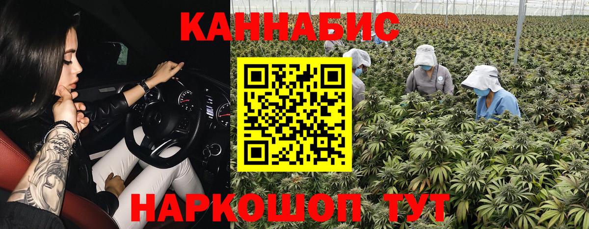 МАРИХУАНА семена Долгопрудный